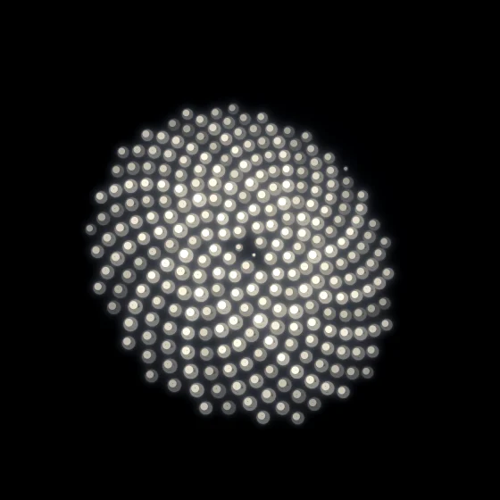 Butter Pearls – Fibonacci · 135 wireframe spheres · Butter palette · bloom, black-and-white grade, 3D depth, glow, depth sorting, turning solids