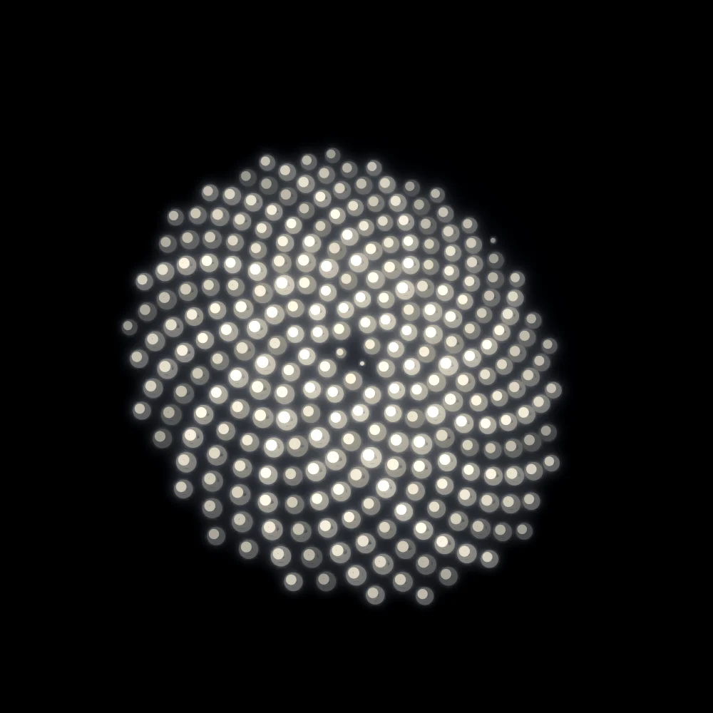 Butter Pearls – Fibonacci · 135 wireframe spheres · Butter palette · bloom, black-and-white grade, 3D depth, glow, depth sorting, turning solids generated with Espiralito